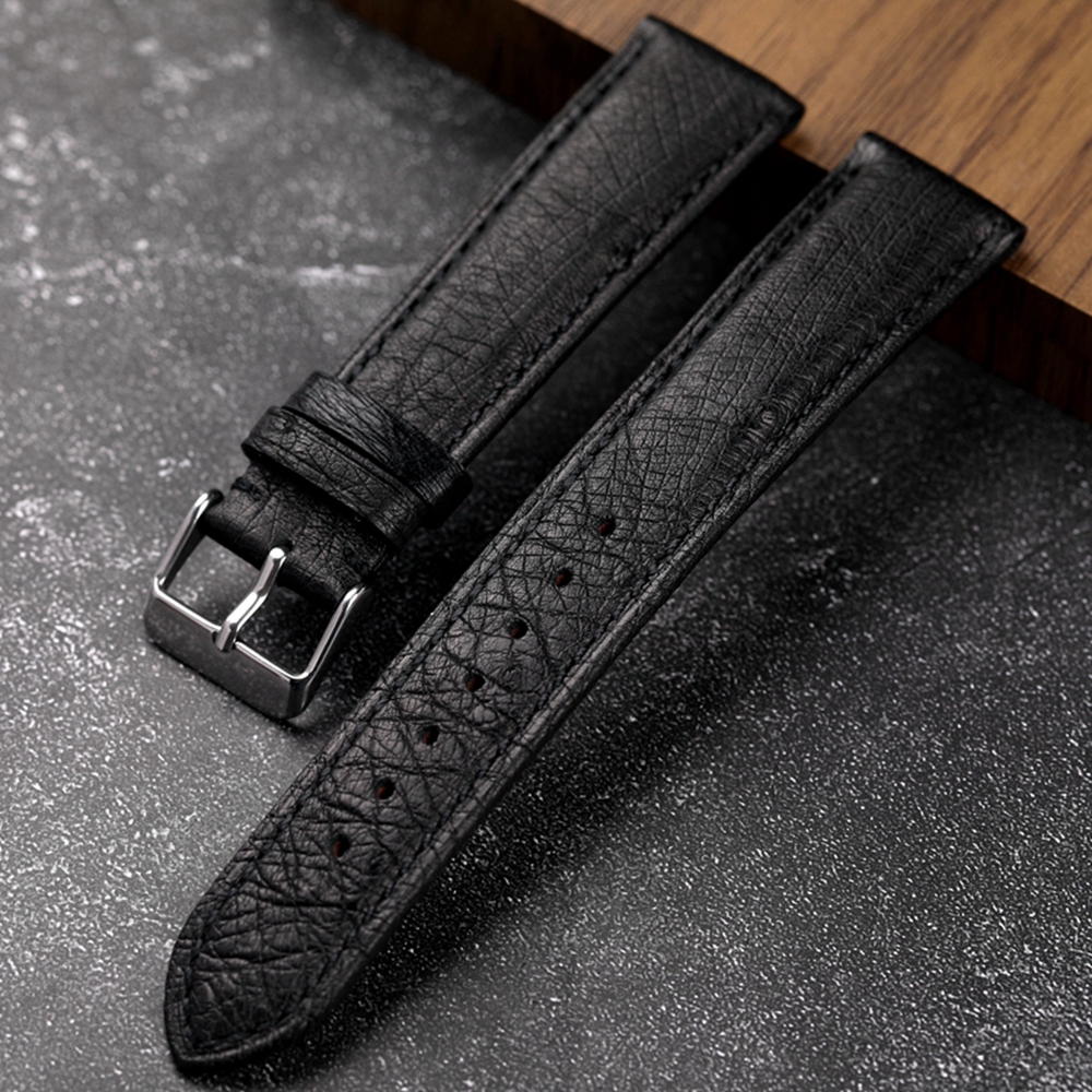 Handmade South African Ostrich - مراجعة Nato Strap Nylon وسعره