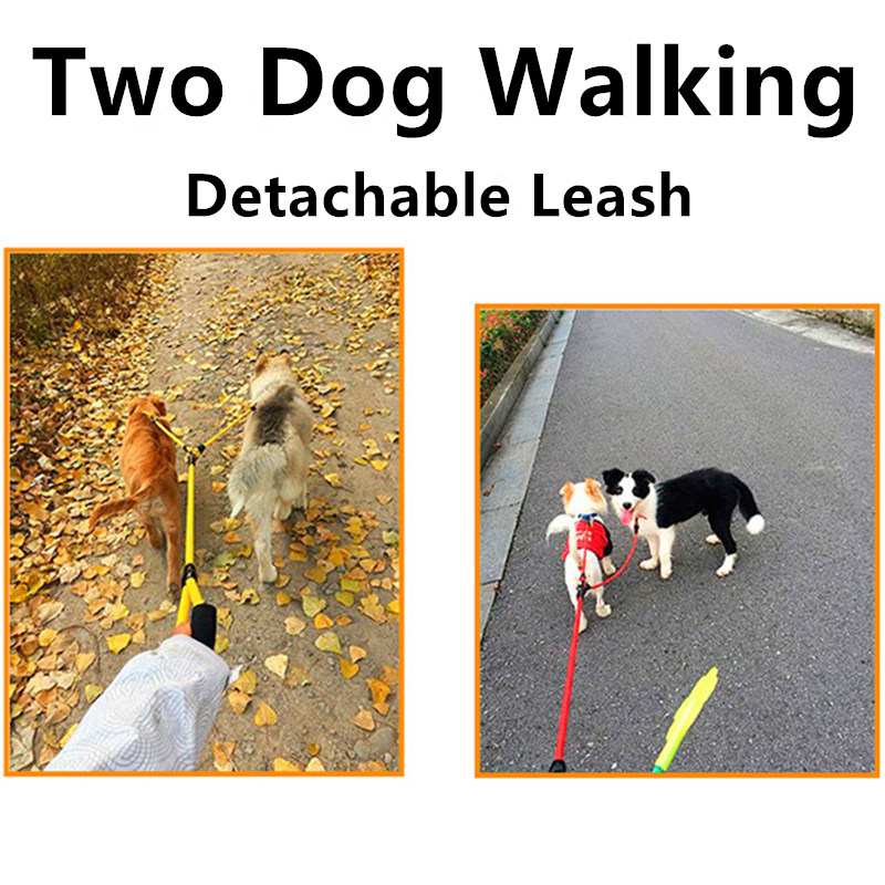 Dog Leash Double Leashes for D - مراجعة Leather Strap Quick Release وسعره