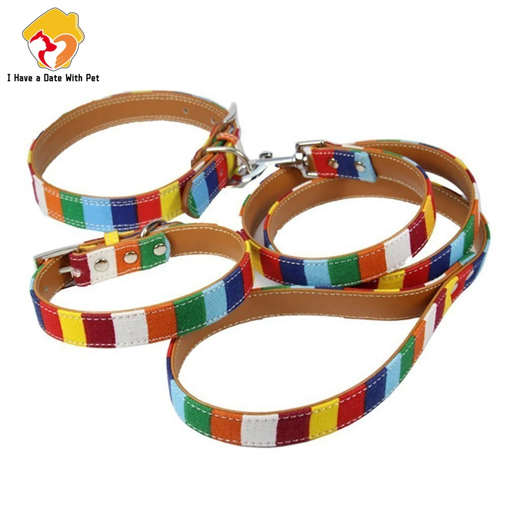 (1 collar+1 leash)  S M L XL X - مراجعة Leather Strap Quick Release وسعره
