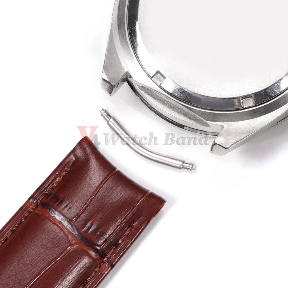 10pcs Curved End Spring Bar Di - مراجعة Curved Spring Bar وسعره