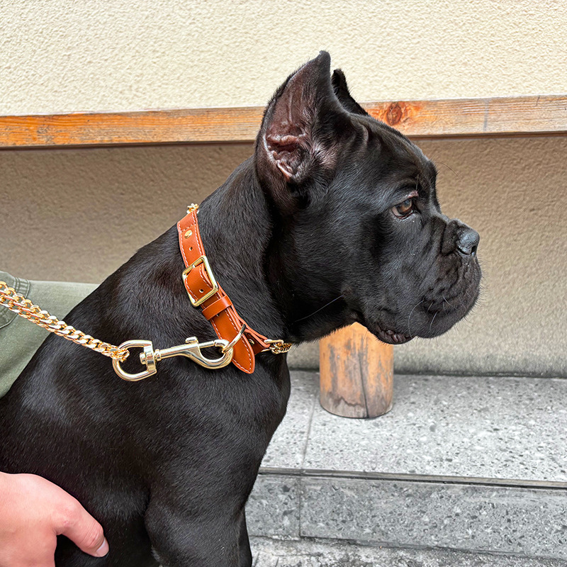 Loudik Wholesale Pet Collar Le - مراجعة Leather Strap Quick Release وسعره
